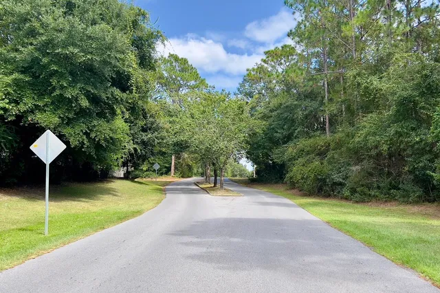 a view of a park that has large trees