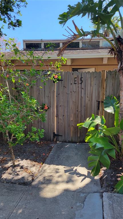 a view of a backyard with plants