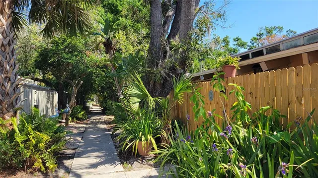 a view of a yard with plants