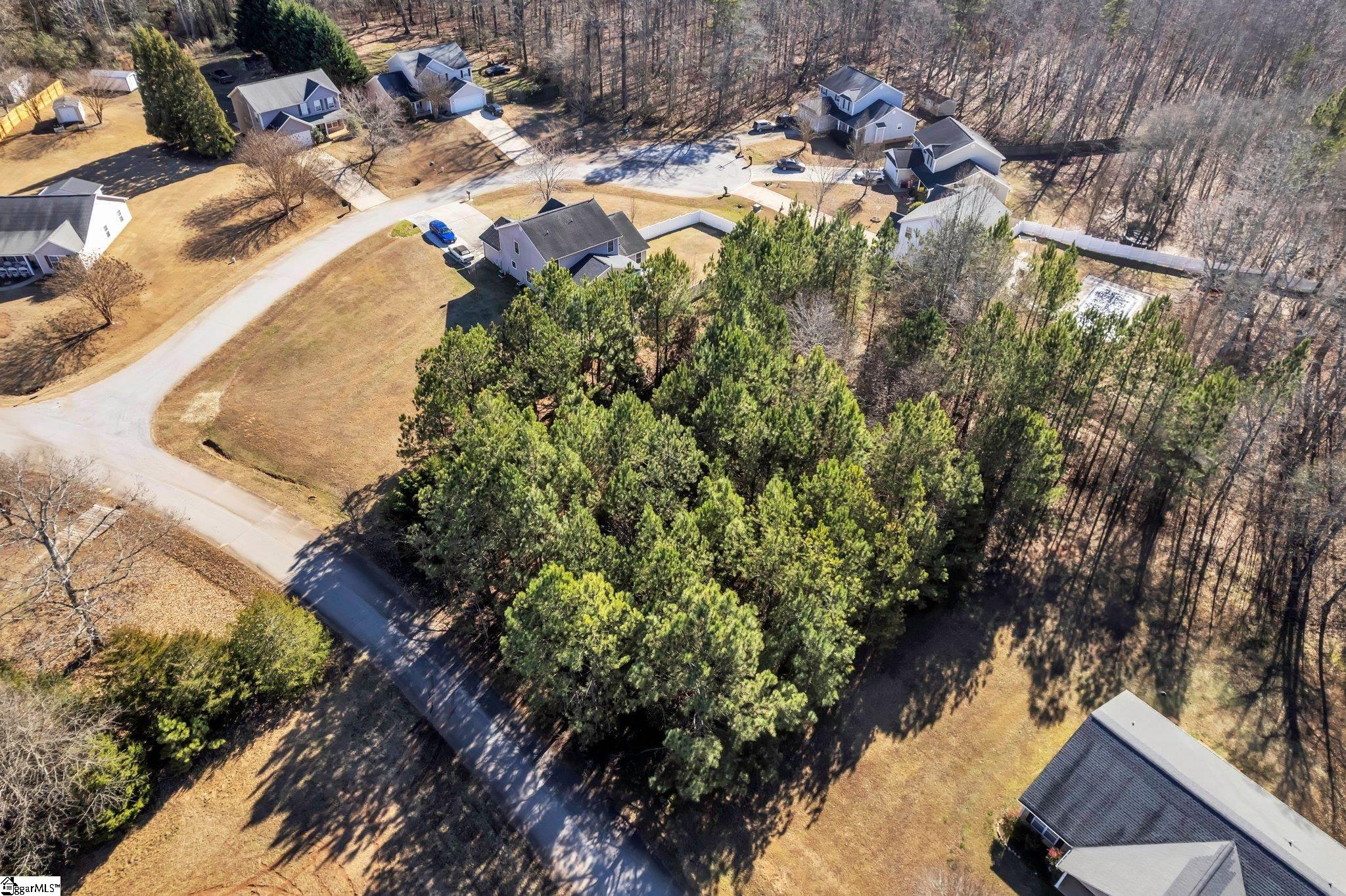 121 Soliel Way Pendleton, SC 29670 - Photo 4 of 14