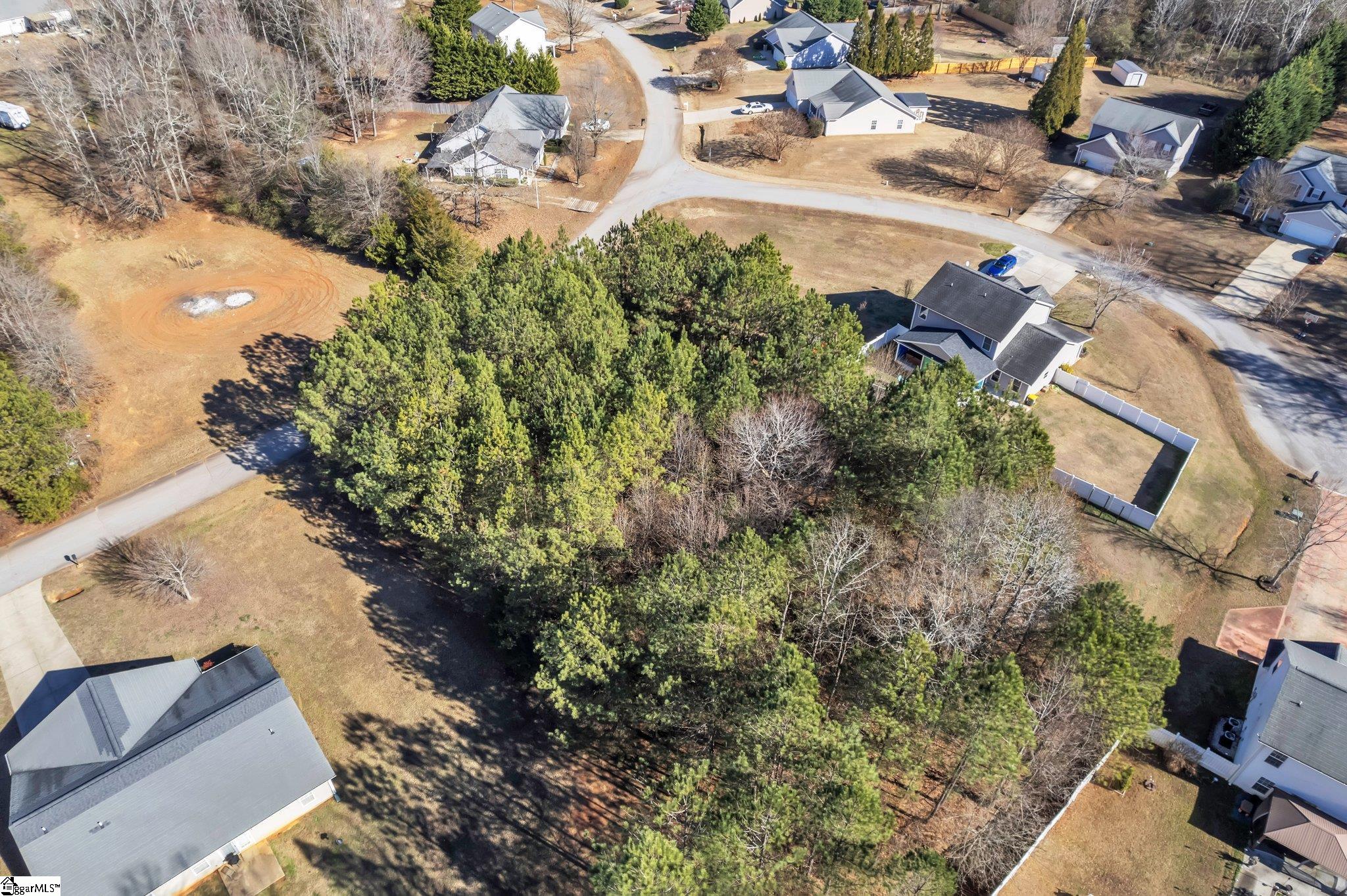 121 Soliel Way Pendleton, SC 29670 - Photo 5 of 14