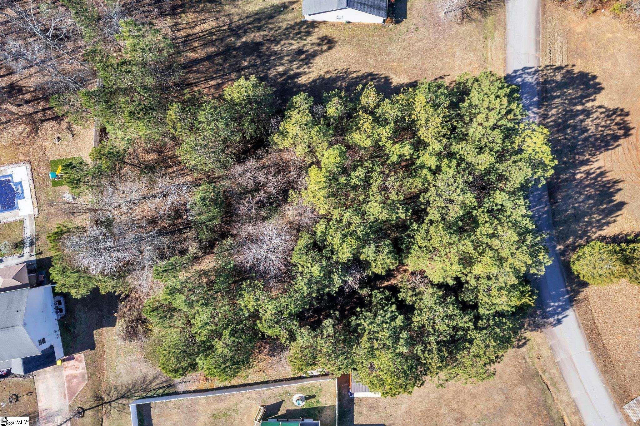 121 Soliel Way Pendleton, SC 29670 - Photo 7 of 14