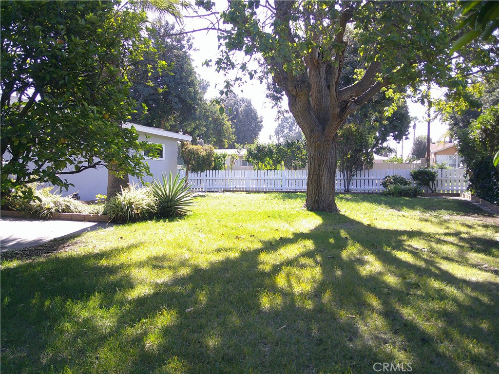 3170 Ronald Street Riverside, CA 92506 - Photo 10 of 40 backyard
