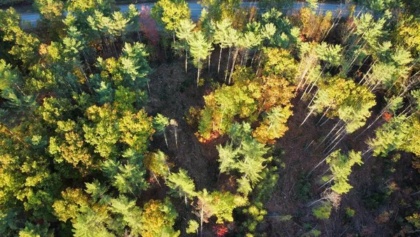$70,000 | Lot 16-1) U.S. Rte 1, Cape Neddick, ME 03902