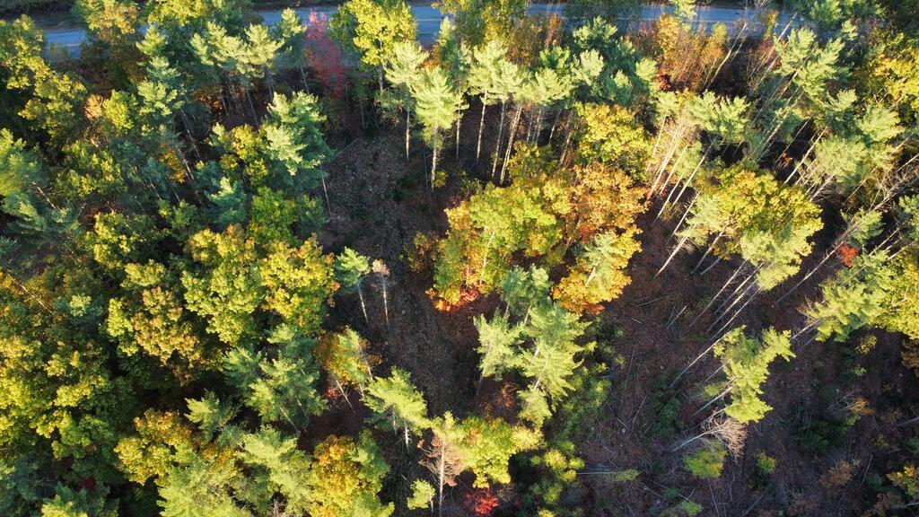 Lot 16-1) U.S. Rte 1 Cape Neddick, ME 03902 - Photo 1 of 8 Lot1Drone1