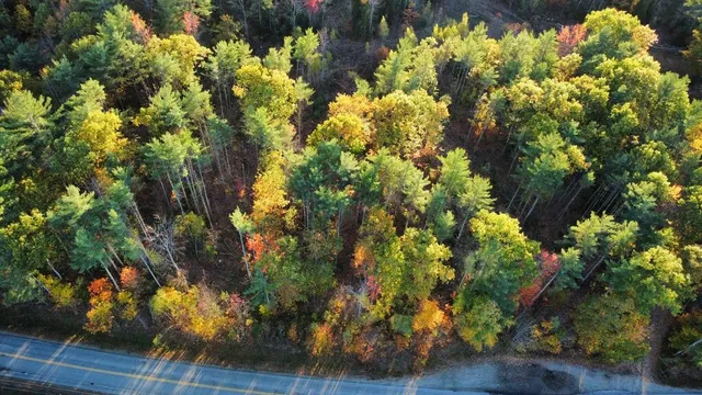 $70,000 | Lot 16-1) U.S. Rte 1, Cape Neddick, ME 03902
