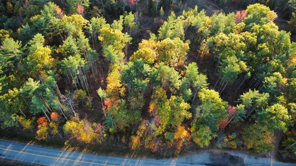 Lot 16-1) U.S. Rte 1 Cape Neddick, ME 03902 - Photo 2 of 8 Lot1Drone2