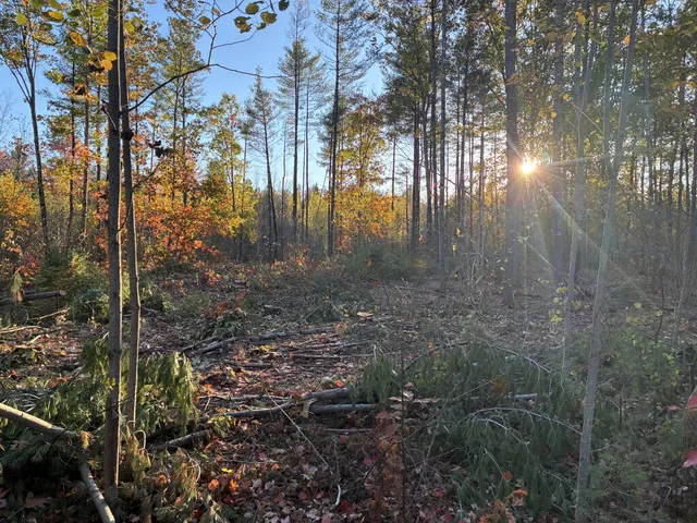 $70,000 | Lot 16-1) U.S. Rte 1, Cape Neddick, ME 03902