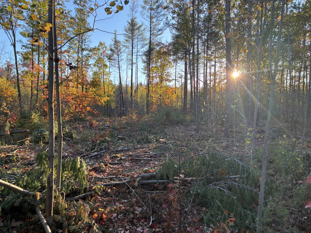 Lot 16-1) U.S. Rte 1 Cape Neddick, ME 03902 - Photo 5 of 8 Lot1Ground1