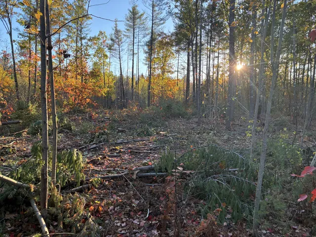 $70,000 | Lot 16-1) U.S. Rte 1, Cape Neddick, ME 03902