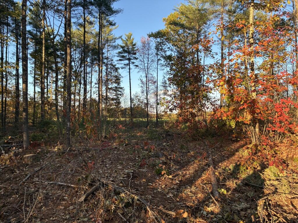 Lot 16-1) U.S. Rte 1 Cape Neddick, ME 03902 - Photo 7 of 8 Lot1Ground3