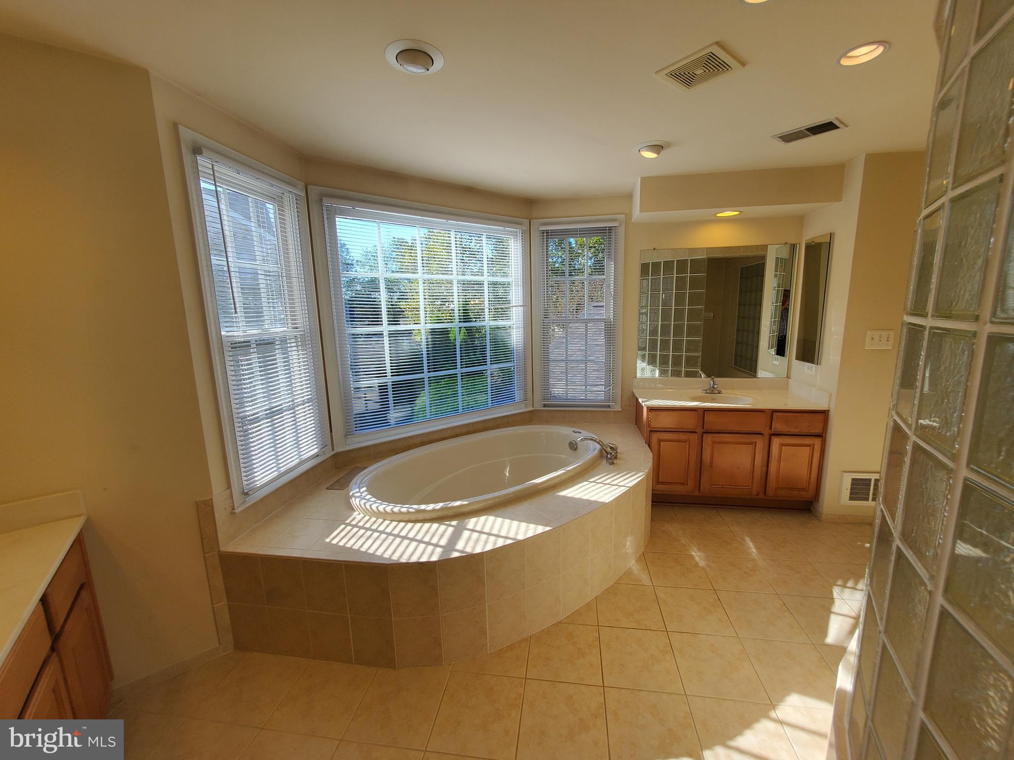 14418 Ashleigh Greene Road Boyds, MD 20841 - Photo 13 of 31 a living room with a furniture and a tub