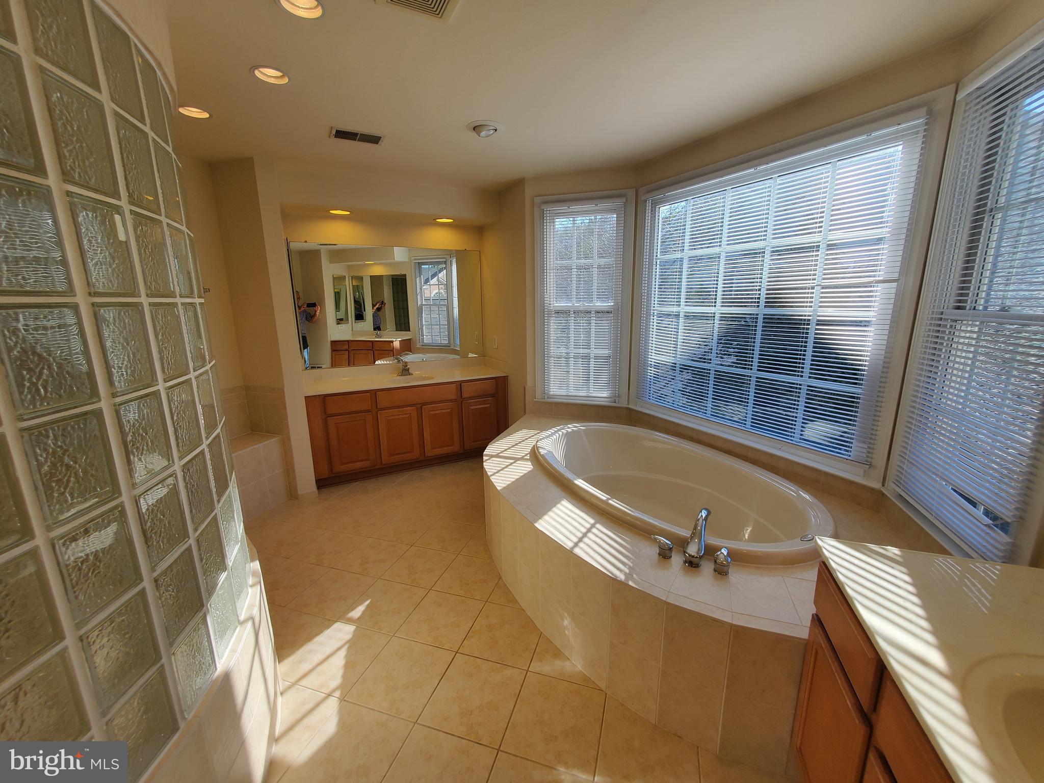 14418 Ashleigh Greene Road Boyds, MD 20841 - Photo 15 of 31 a bathroom with a tub a sink and glass door shower