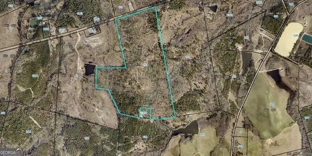 $383,800 | 151 Brantley Midas Road, Kite, GA 31049