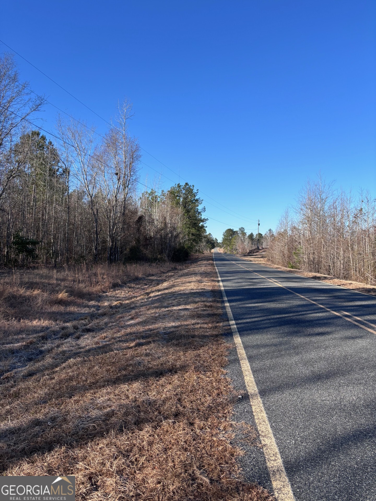 151 Brantley Midas Road Kite, GA 31049 - Photo 2 of 3 a view of a yard