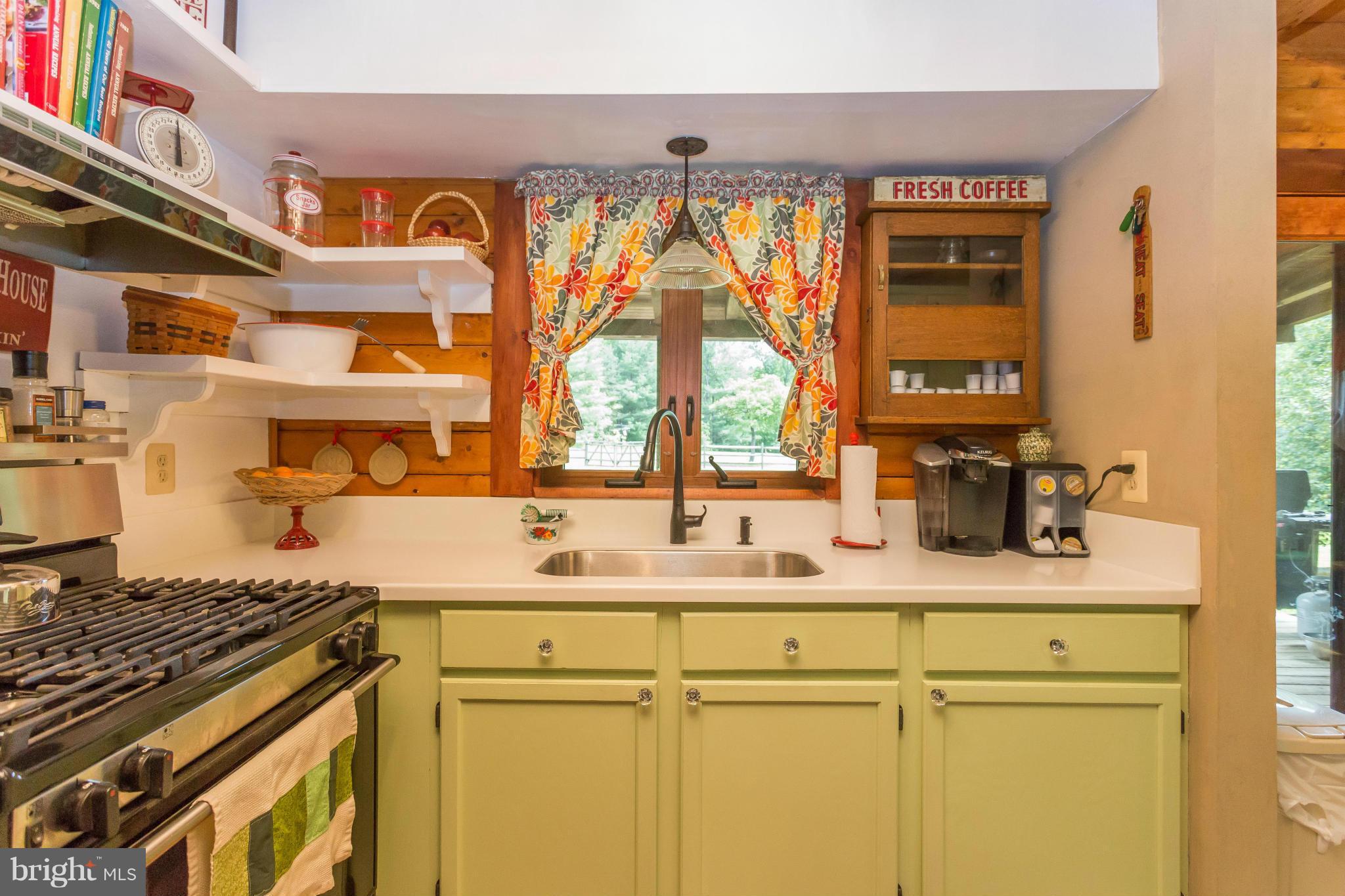 2277 Beaver Dam Road Midland, VA 22728 - Photo 6 of 30 Kitchen Window overlooking nature