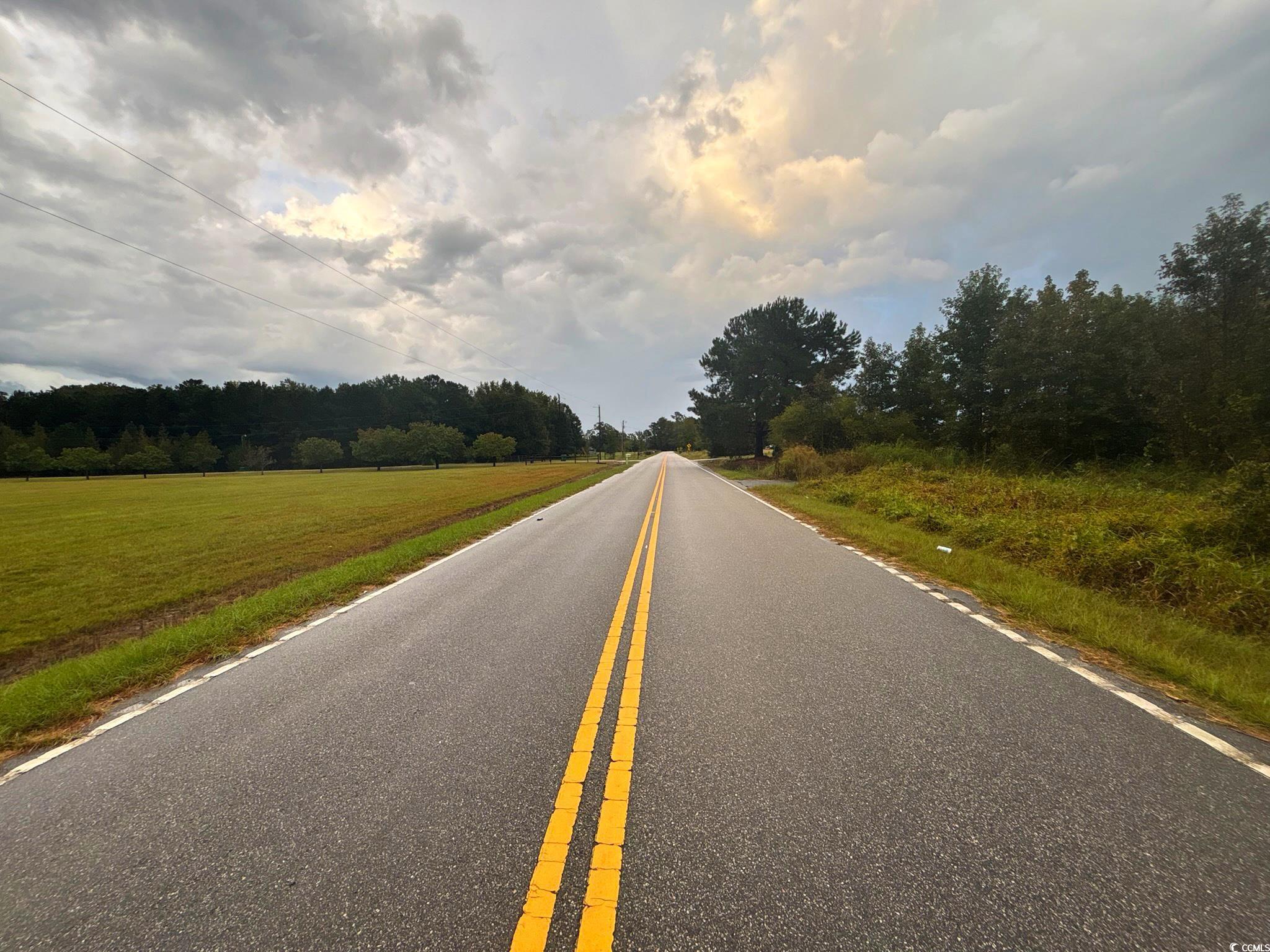 0 Winnie Road Nichols, SC 29581 - Photo 2 of 8