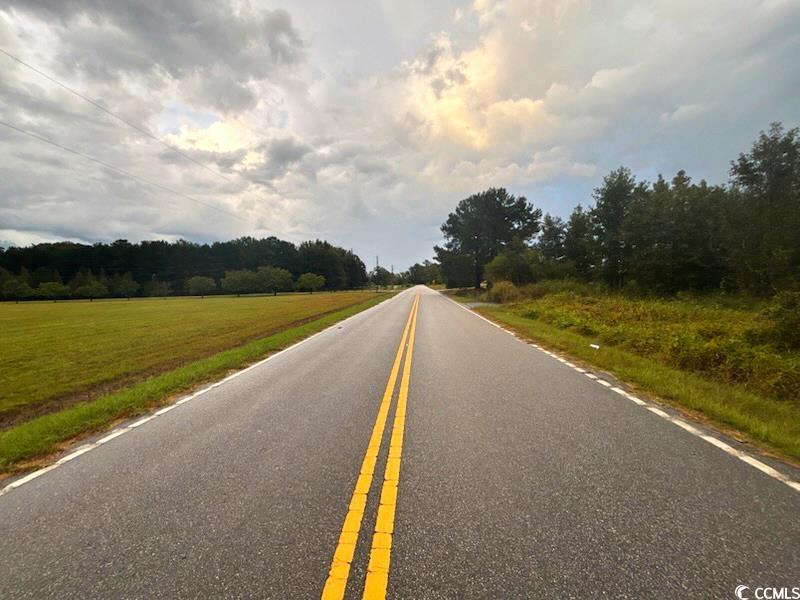 0 Winnie Road Nichols, SC 29581 - Photo 4 of 8