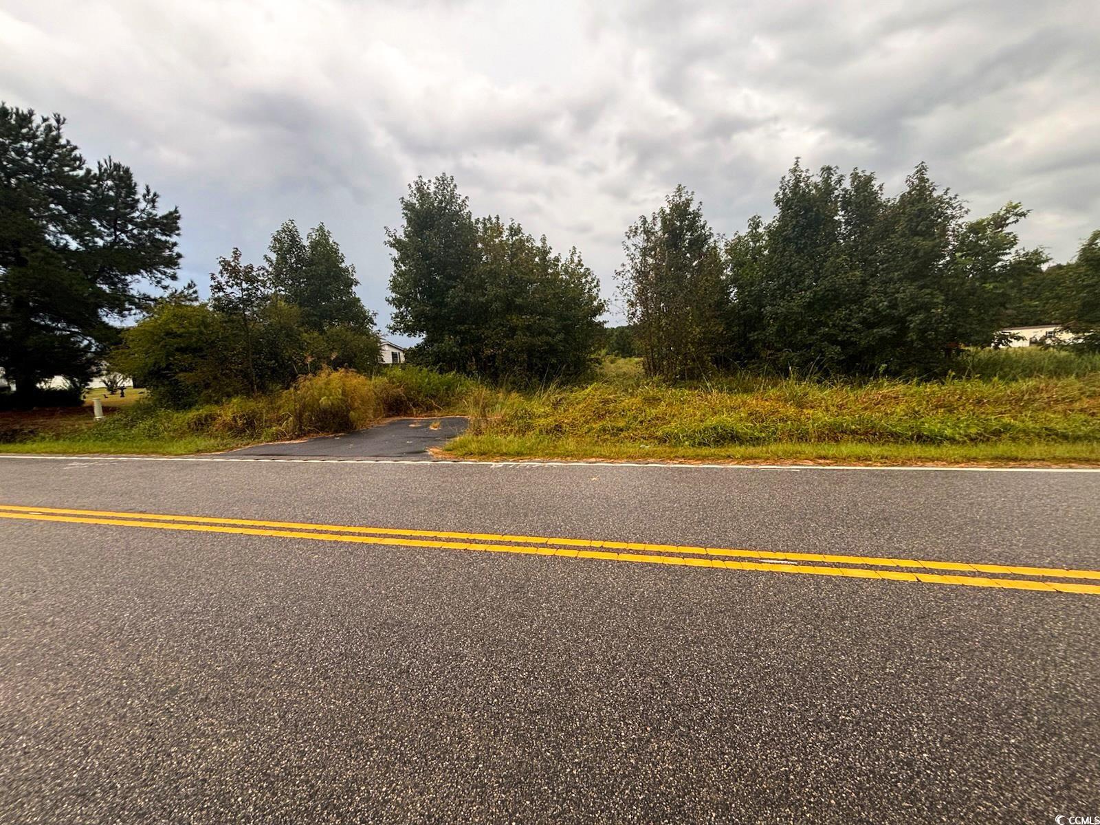 0 Winnie Road Nichols, SC 29581 - Photo 5 of 8