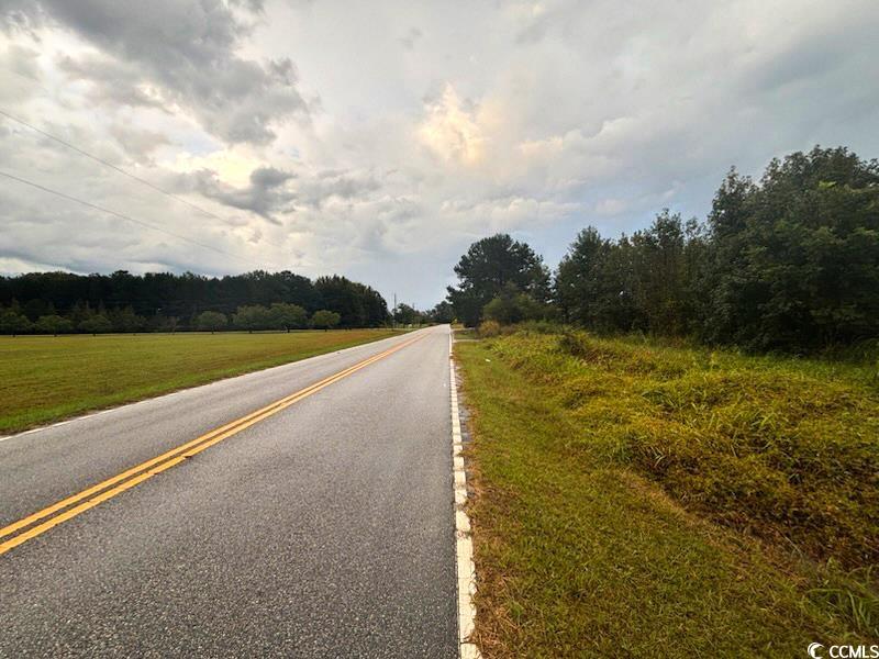 0 Winnie Road Nichols, SC 29581 - Photo 7 of 8