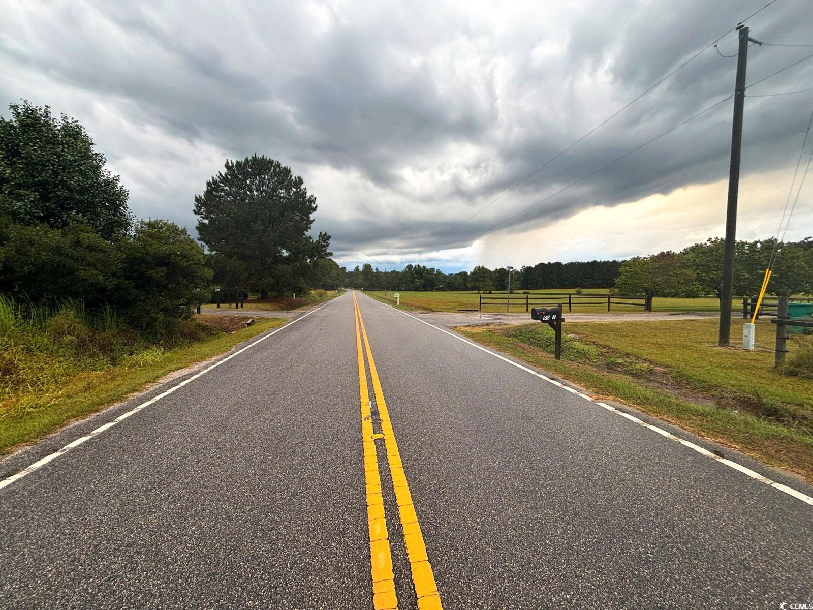 0 Winnie Road Nichols, SC 29581 - Photo 8 of 8