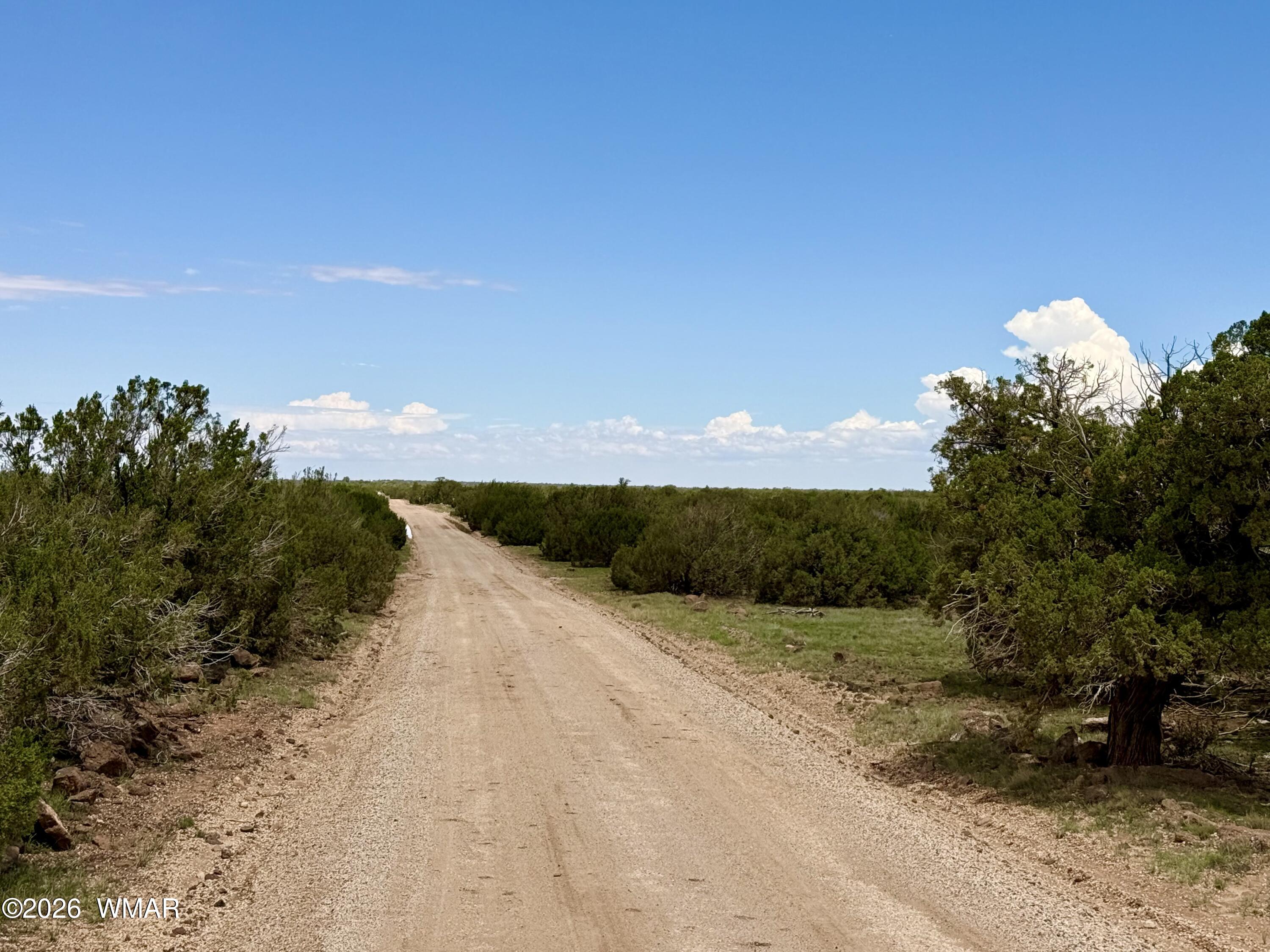 127 Co Road Concho, AZ 85924 - Photo 13 of 18 Gallery Image 13