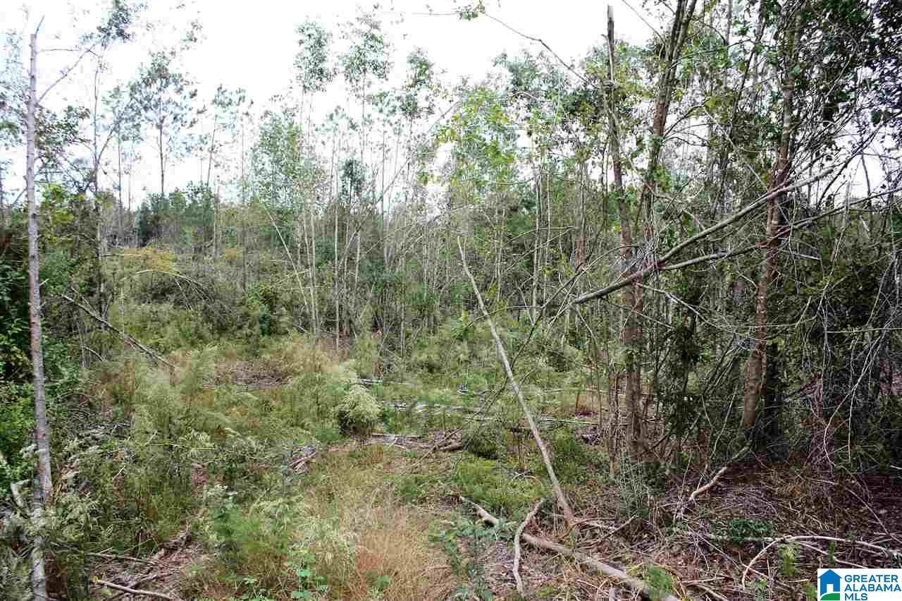 608 Cahaba Road, Unit 608 Greenville, AL 36037 - Photo 8 of 11
