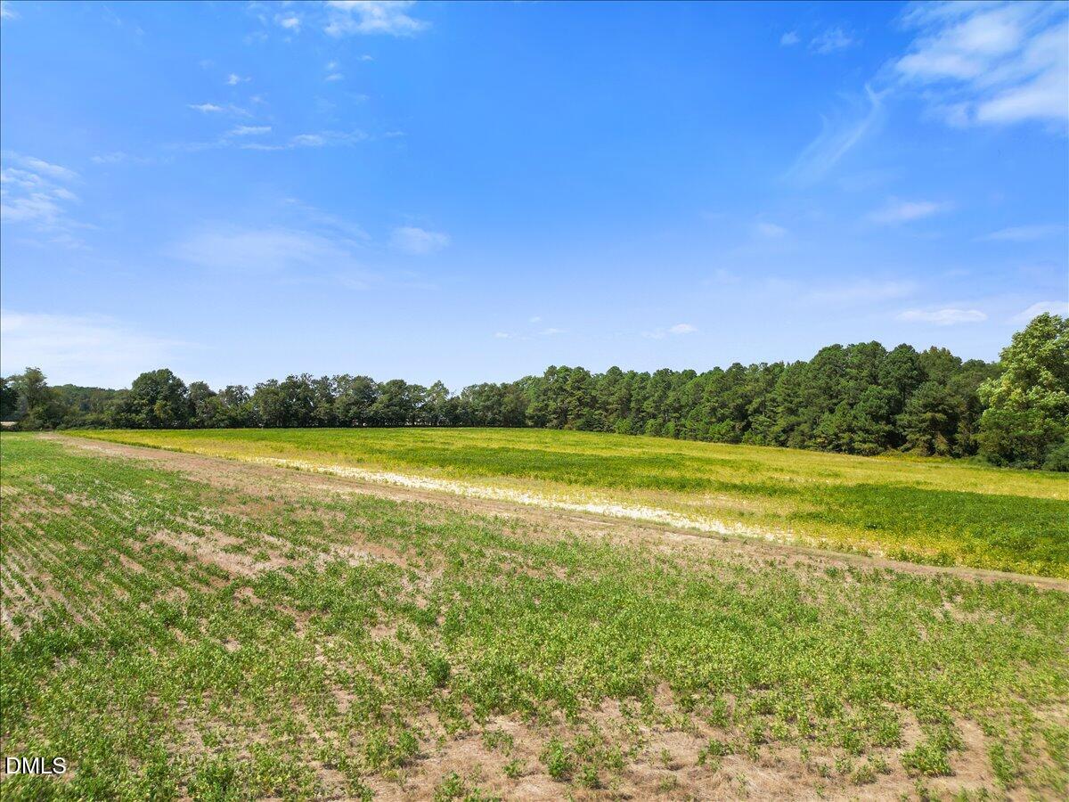 0 West Strickland Road Dunn, NC 28334 - Photo 7 of 9 W. Strickland Road