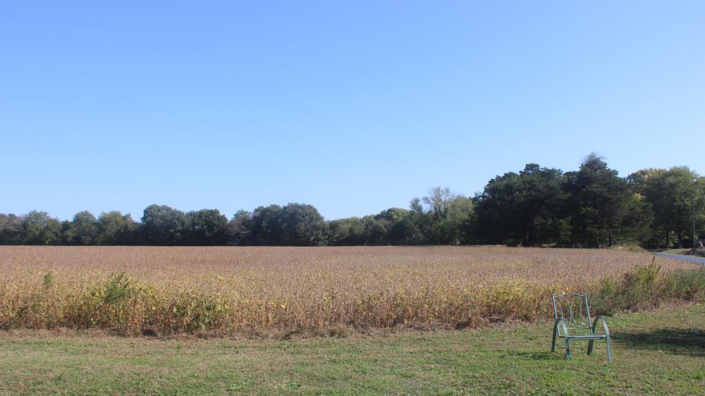 Lot 130 Matthews Road, Unit 130 Parksley, VA 23421 - Photo 14 of 15