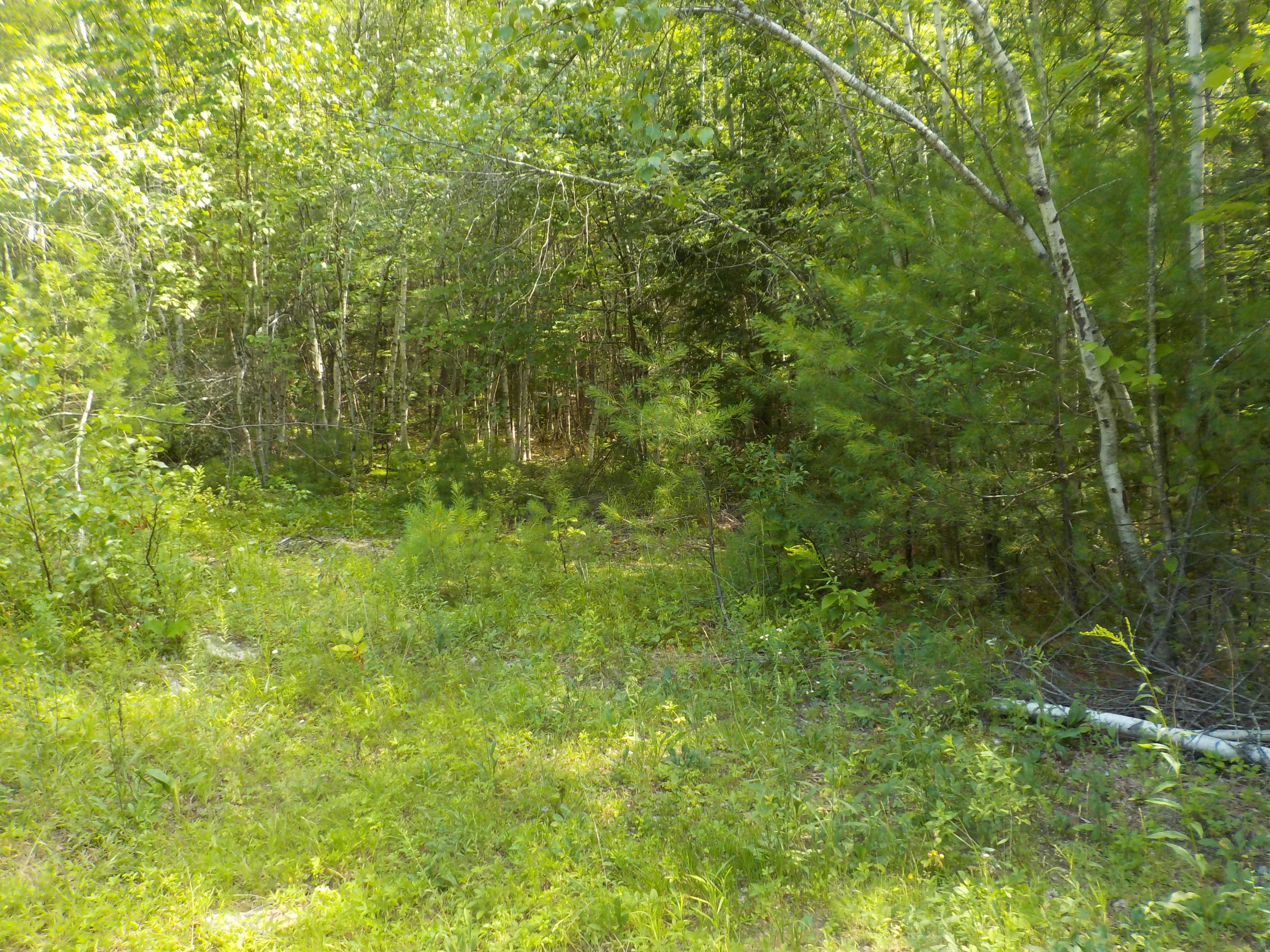 89 Gerry Road Otisfield, ME 04270 - Photo 8 of 14 DSCN0126