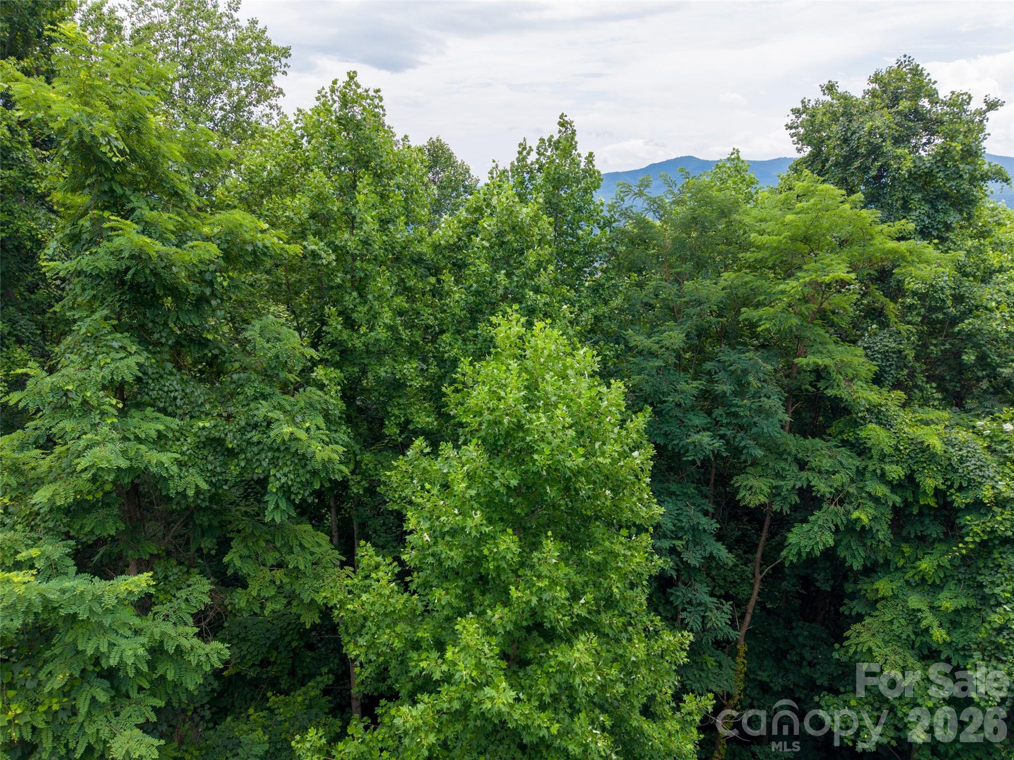 236 Nottingham Dr Mill Spring Mill Spring, NC 28756 - Photo 12 of 19