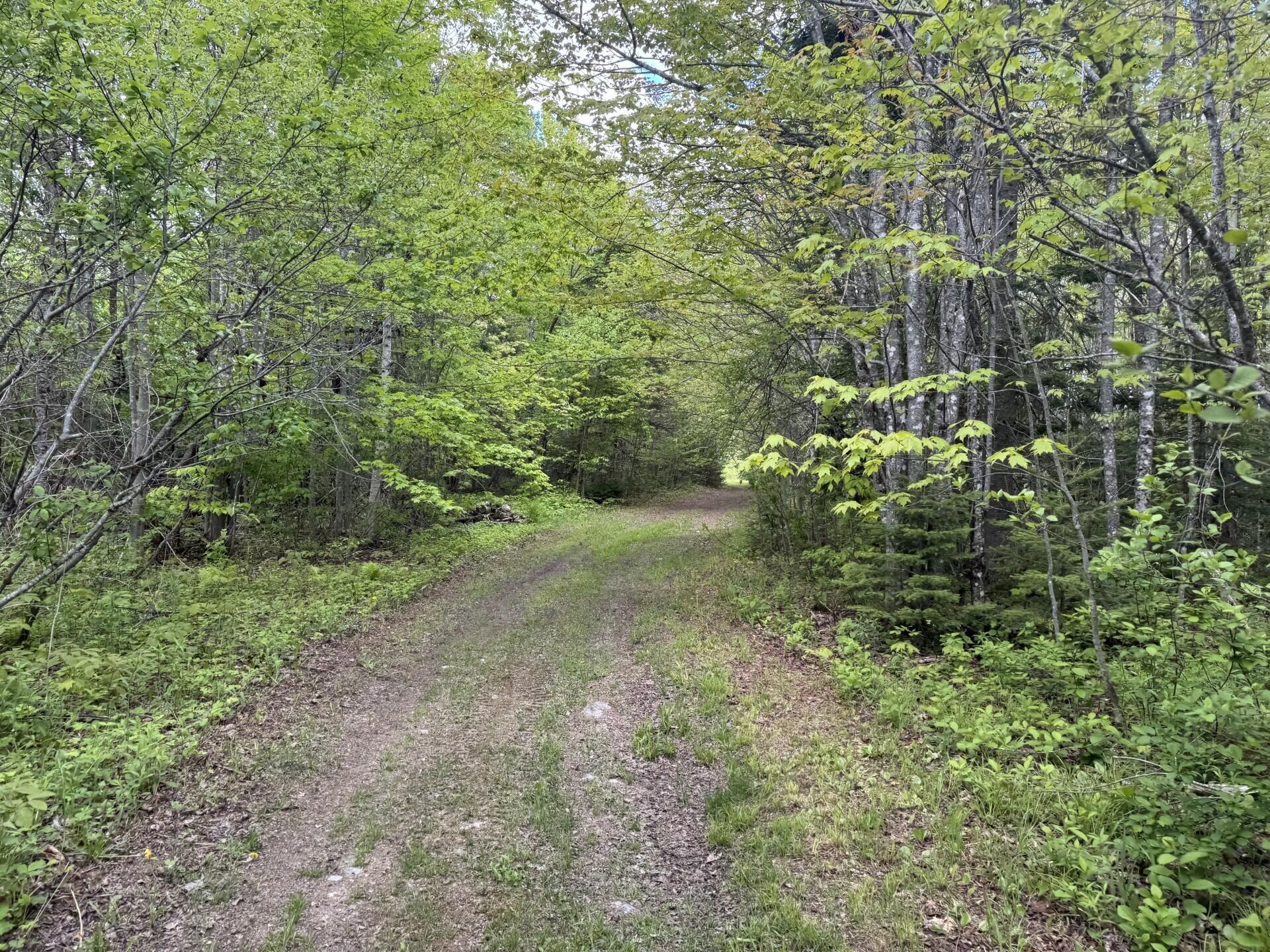 328 Clark Road Merrill, ME 04780 - Photo 53 of 55 Western Trail (328 Clark Road) II