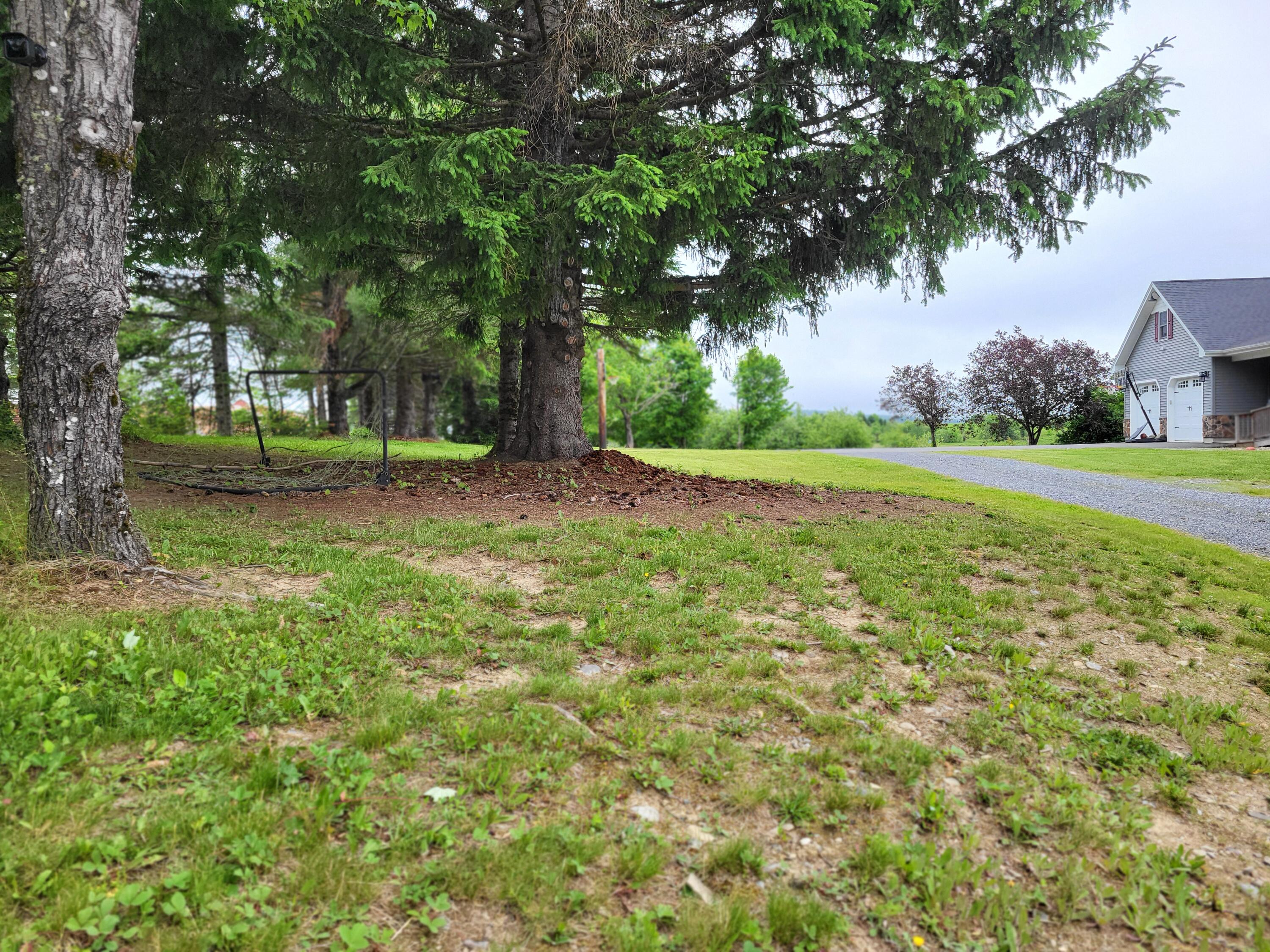 305 Fuller Road Easton, ME 04740 - Photo 4 of 79 1000039837