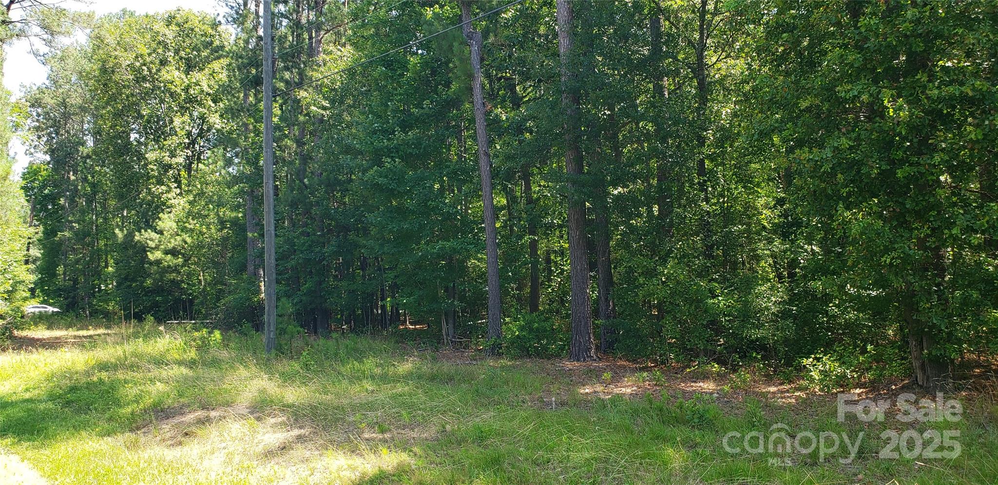 0 Hwy 109 Rd Mount Mount Gilead, NC 27306 - Photo 5 of 11 a view of outdoor space and green space