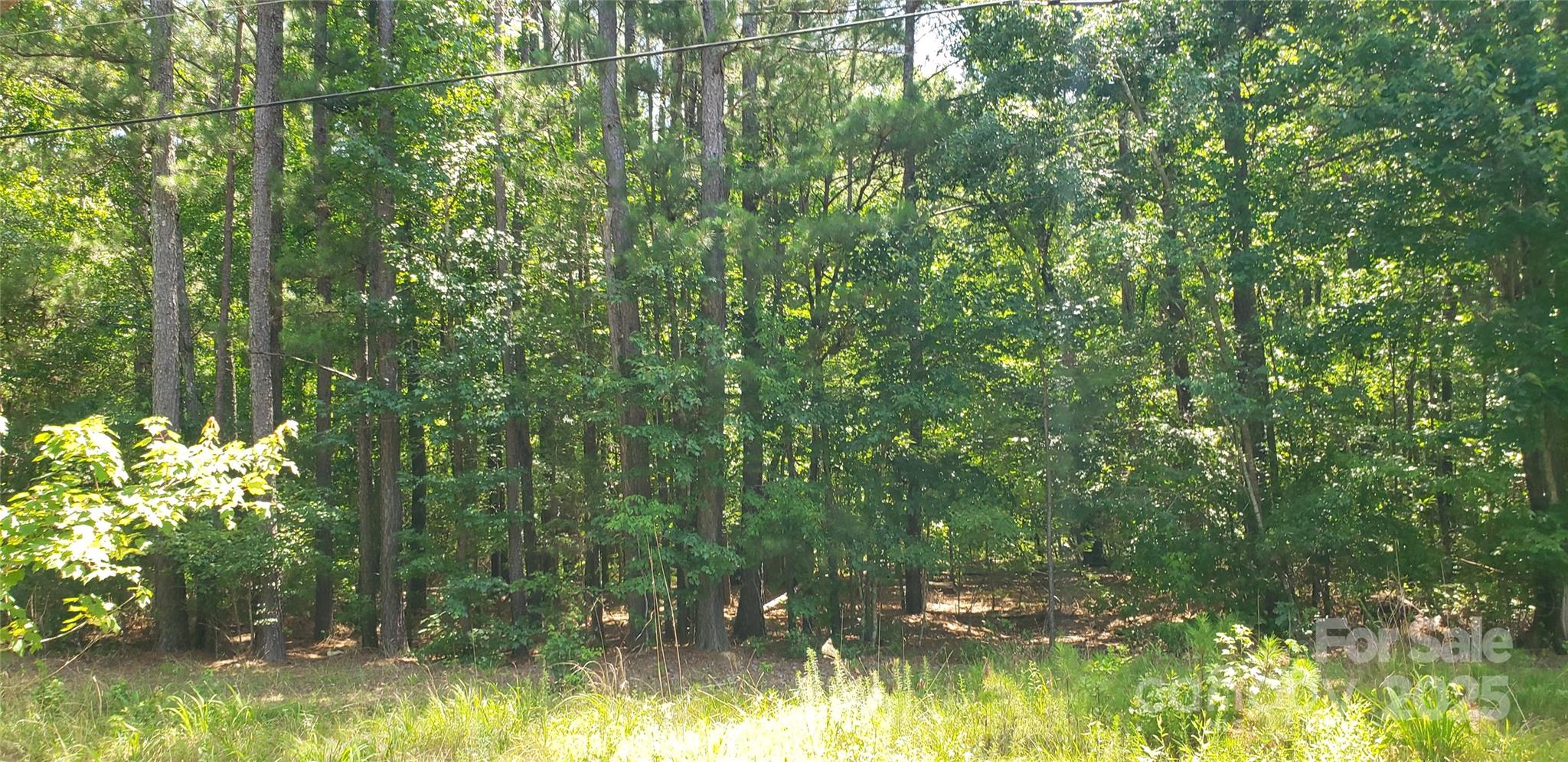 0 Hwy 109 Rd Mount Mount Gilead, NC 27306 - Photo 6 of 11 a view of swimming pool from a lake view