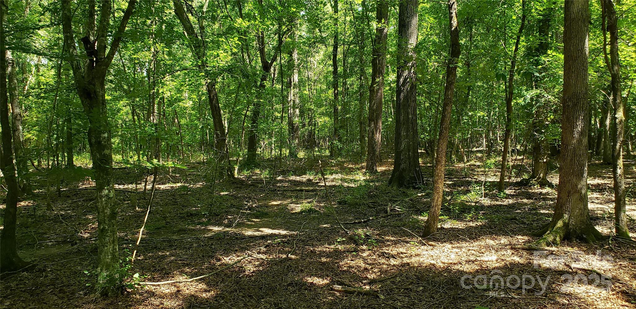 0 Hwy 109 Rd Mount Mount Gilead, NC 27306 - Photo 9 of 11 a backyard of a house with lots of green space