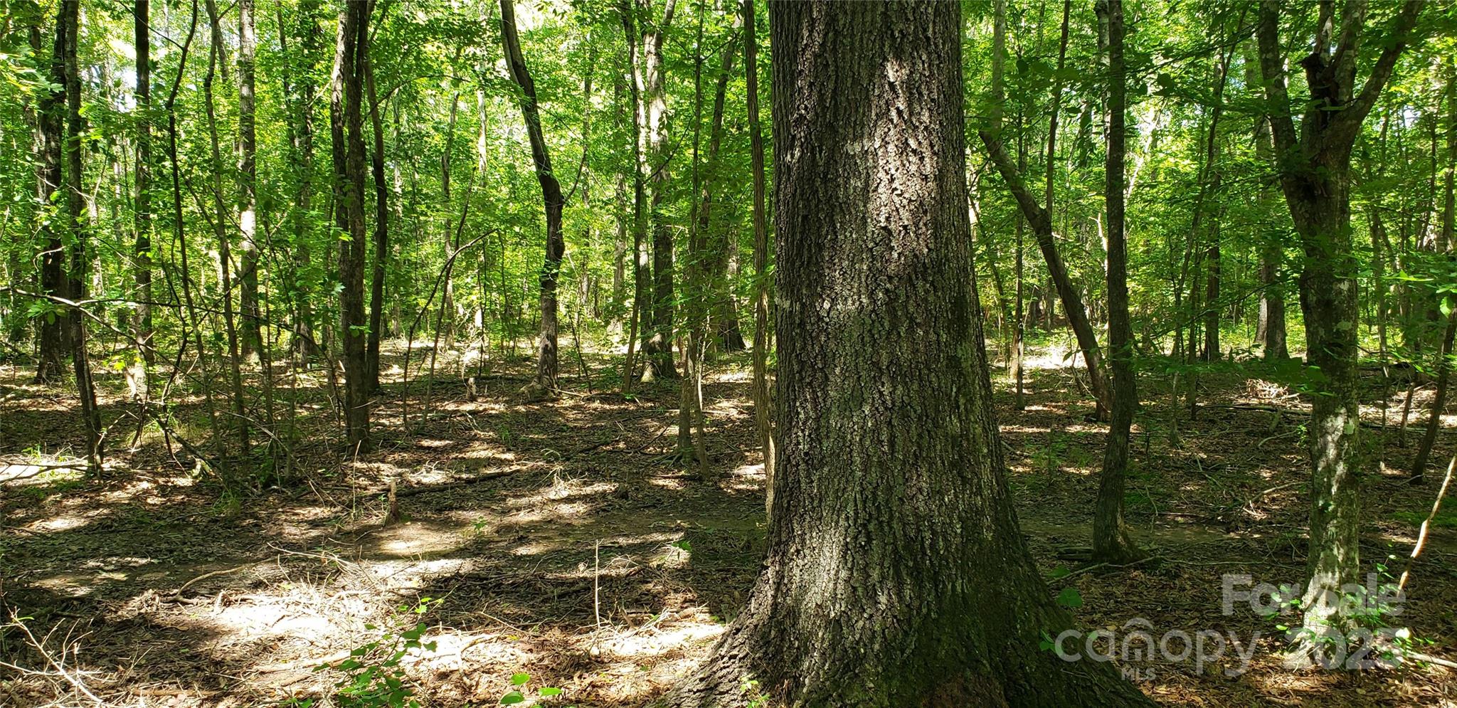 0 Hwy 109 Rd Mount Mount Gilead, NC 27306 - Photo 10 of 11 a view of outdoor space and swimming pool