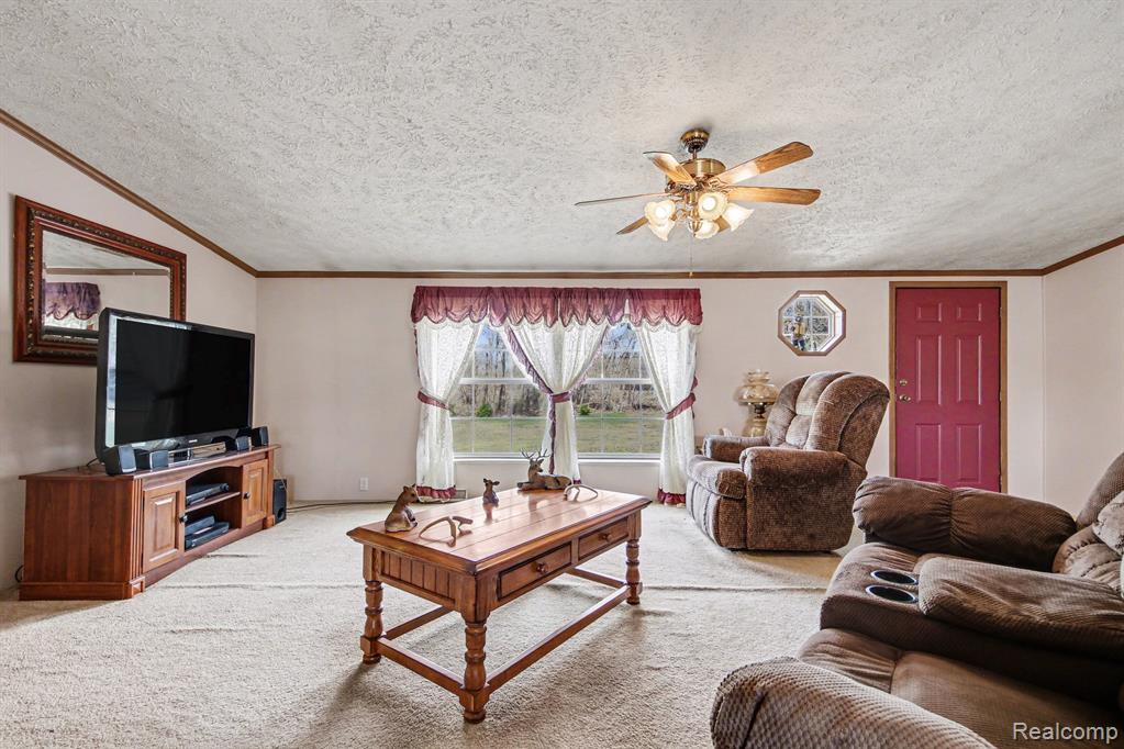 7689 West Sidney Road Greenville, MI 48838 - Photo 6 of 27