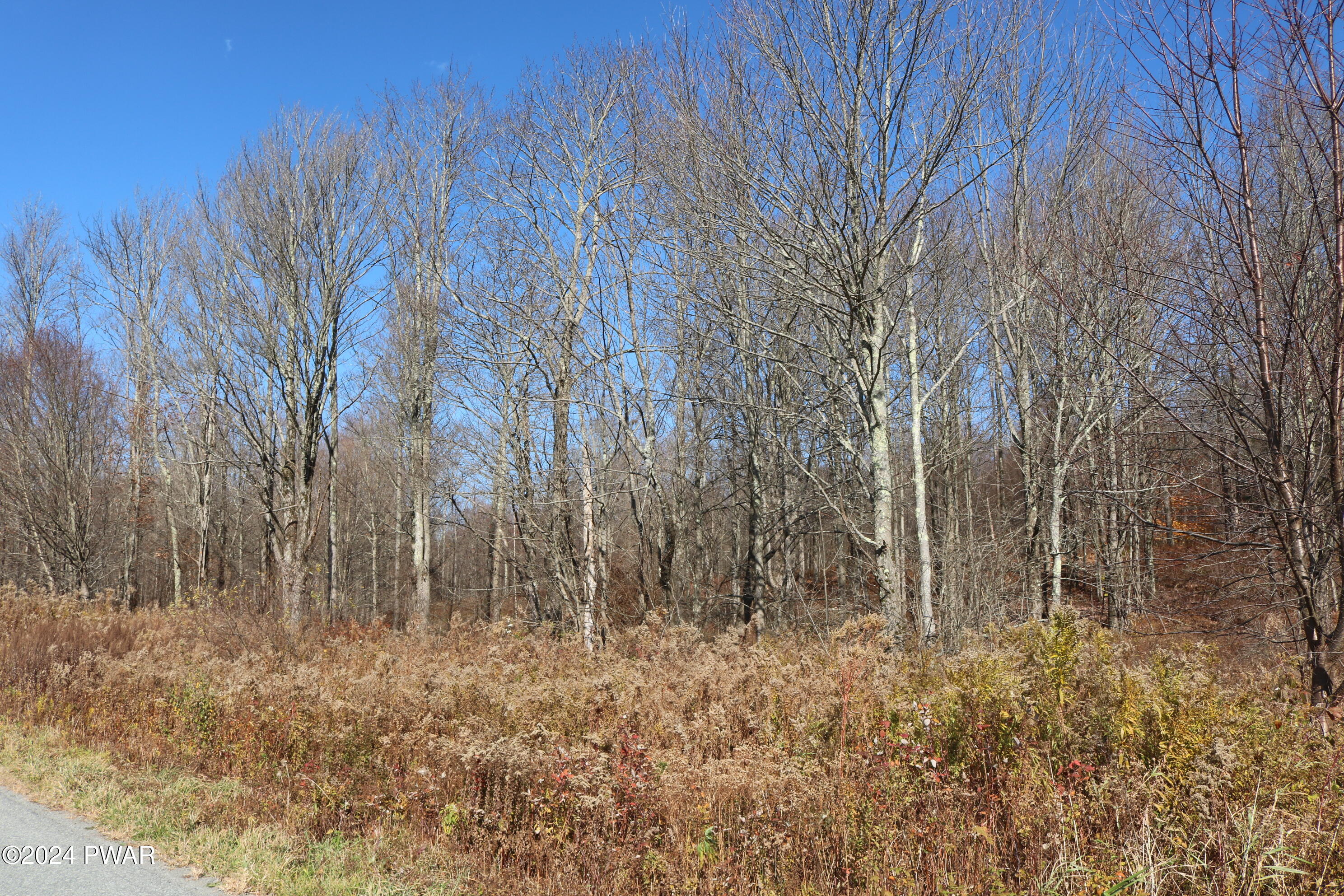 0 Rose Hill Road Lake Como, PA 18437 - Photo 4 of 10
