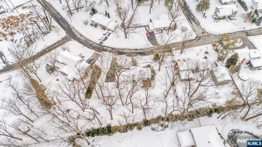 645 Wildwood Road West Northvale, NJ 07647 - Photo 35 of 35 a view of a yard with a tree