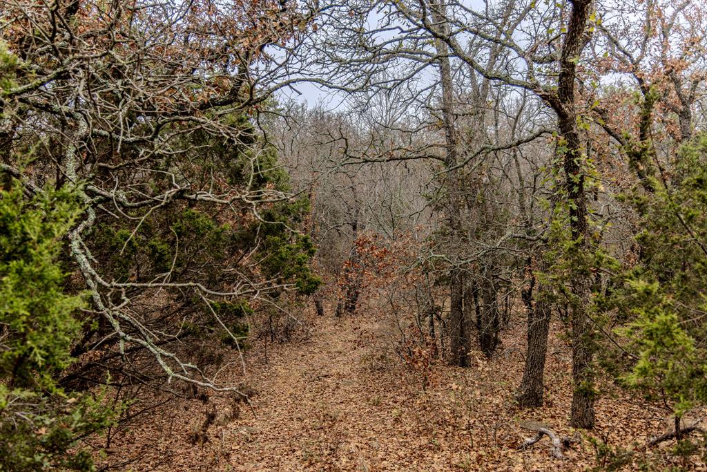 2946 Fm 52 Graford, TX 76449 - Photo 19 of 40 a view of a yard