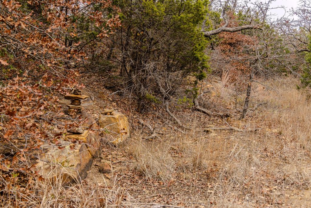 2946 Fm 52 Graford, TX 76449 - Photo 20 of 40 a view of a yard