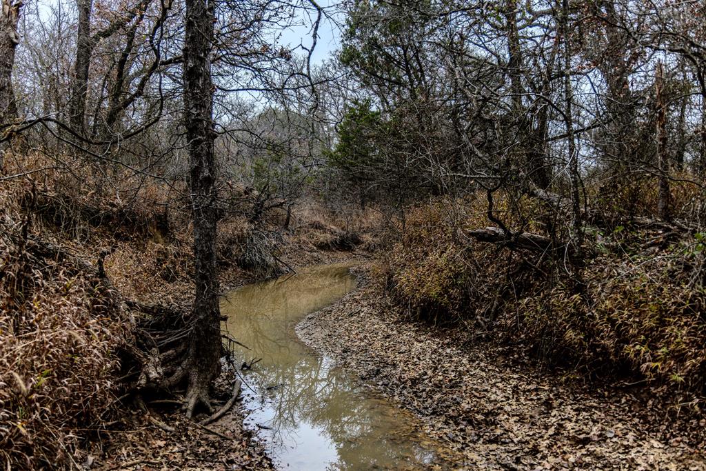 2946 Fm 52 Graford, TX 76449 - Photo 21 of 40 a view of a lake with lots of trees
