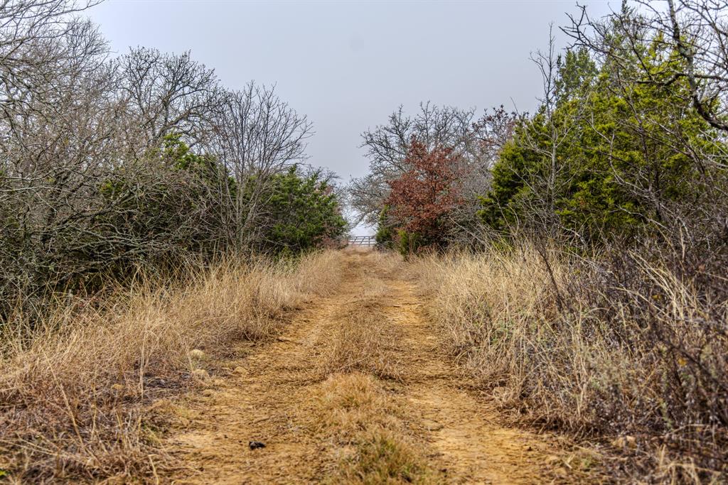 2946 Fm 52 Graford, TX 76449 - Photo 22 of 40 a view of a lake with a tree