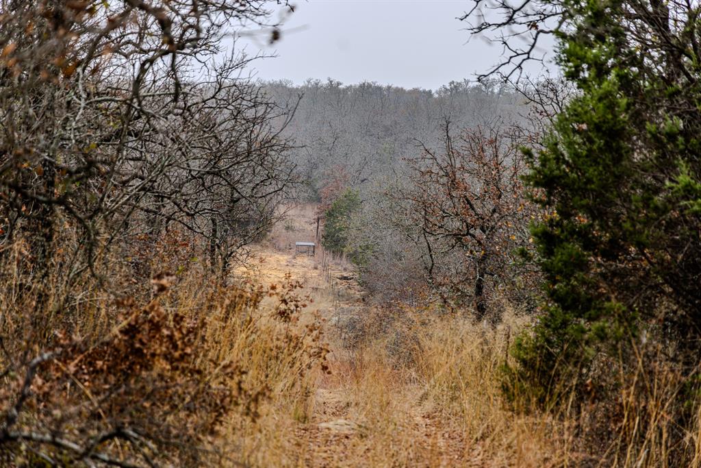 2946 Fm 52 Graford, TX 76449 - Photo 26 of 40 a view of a dry yard with trees