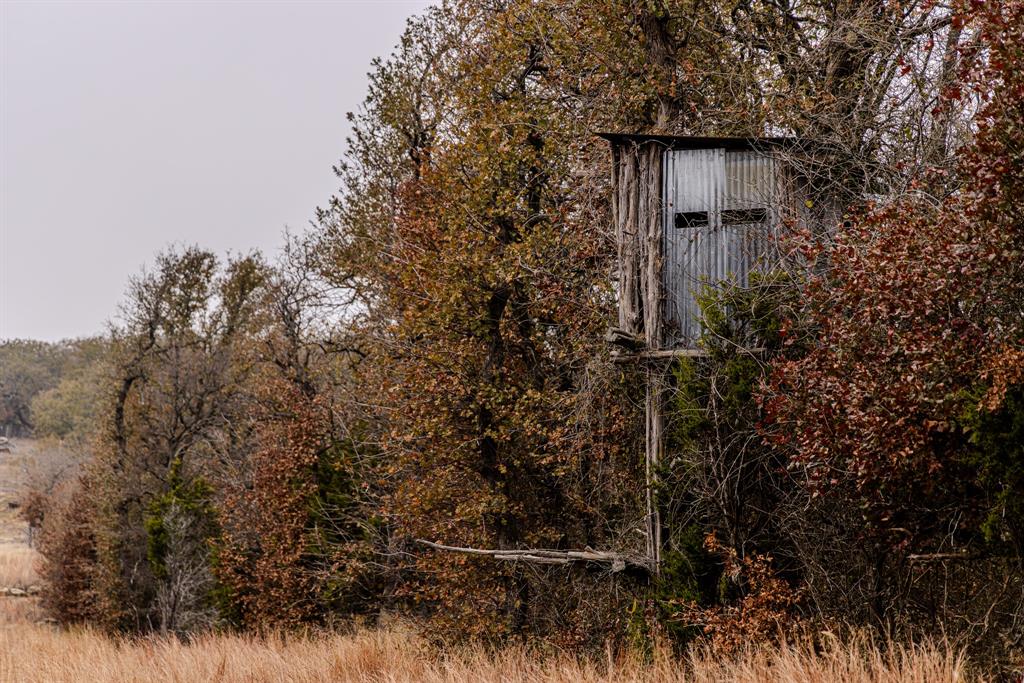 2946 Fm 52 Graford, TX 76449 - Photo 27 of 40 a view of outdoor space and yard