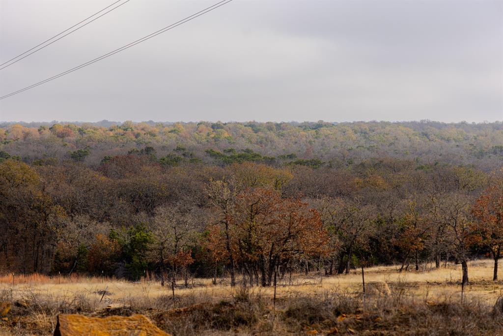 2946 Fm 52 Graford, TX 76449 - Photo 30 of 40 a view of outdoor space and mountain view