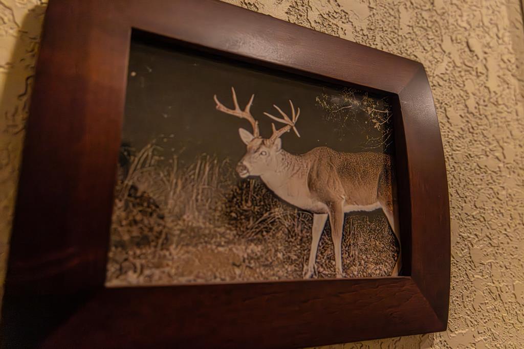 2946 Fm 52 Graford, TX 76449 - Photo 31 of 40