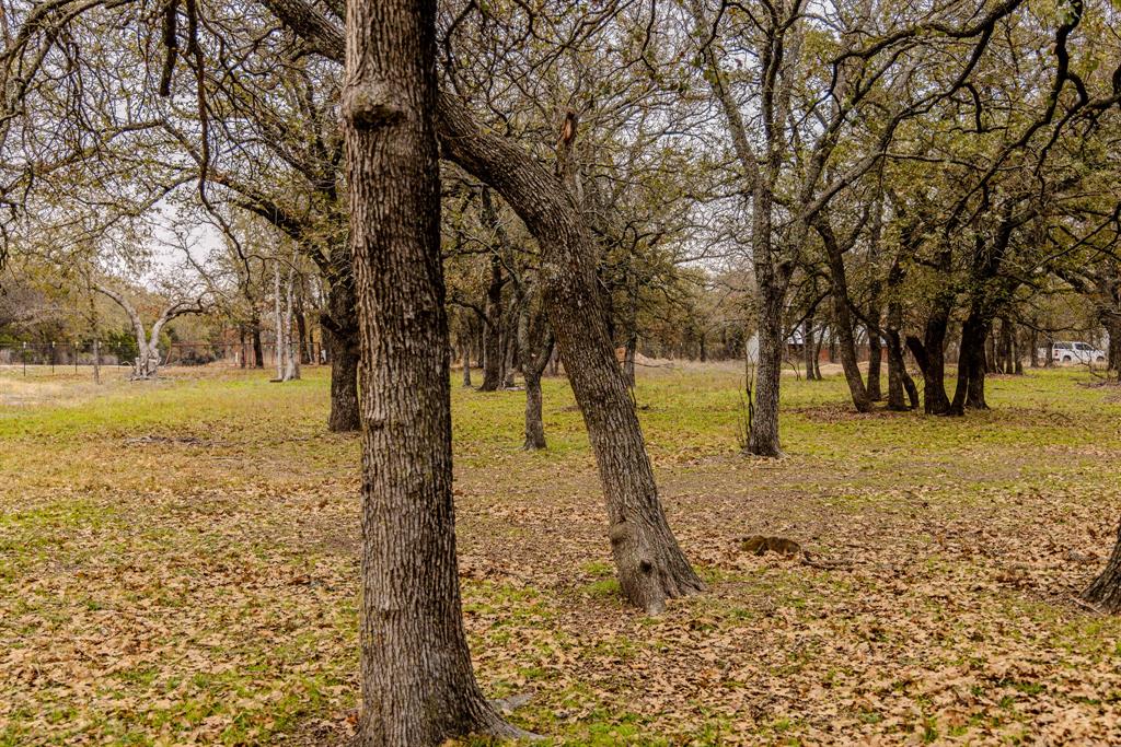 2946 Fm 52 Graford, TX 76449 - Photo 36 of 40 a view of open space with a garden