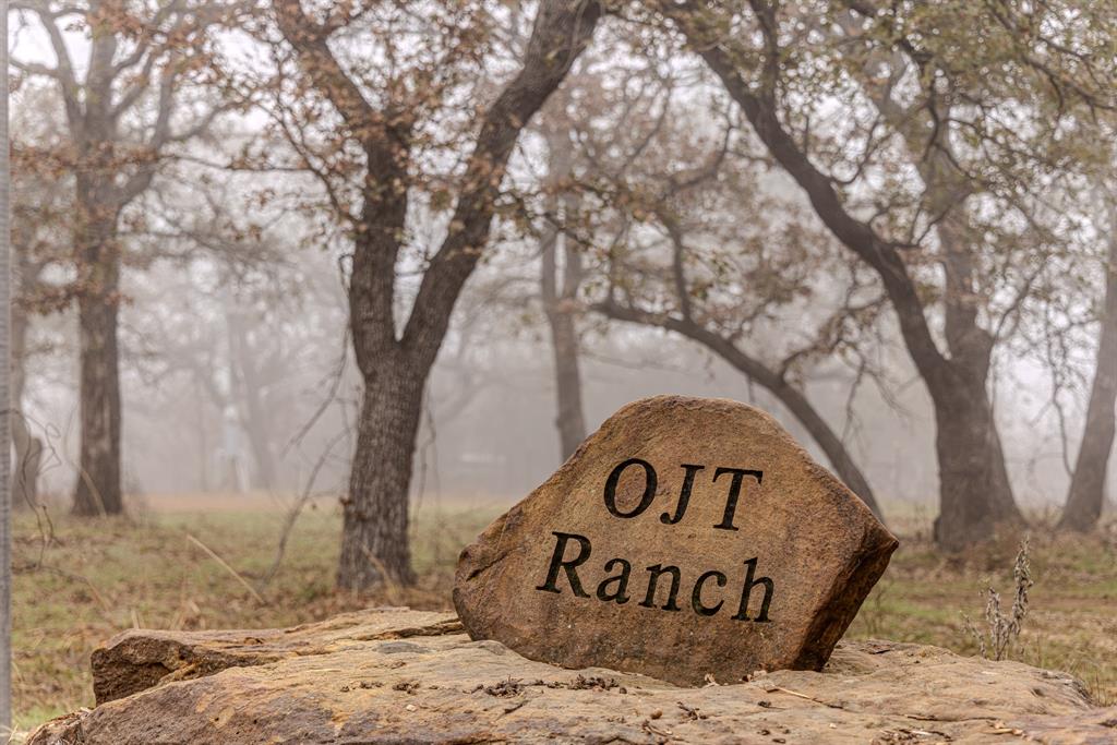 2946 Fm 52 Graford, TX 76449 - Photo 4 of 40 a view of a road sign under a large tree